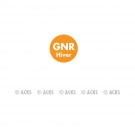 Pastille GNR Hiver (fond orange - texte blanc)