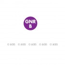 Pastille GNR B (fond violet - texte noir)