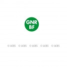 Pastille GNR BF (fond vert - texte blanc)