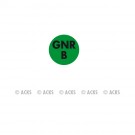 Pastille GNR B (fond vert - texte noir)