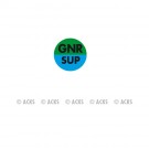 Pastille GNR SUP (1/2 fond vert et bleu horiz - texte noir)