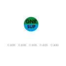 Pastille GNR SUP (1/2 fond vert et bleu horiz - texte noir)